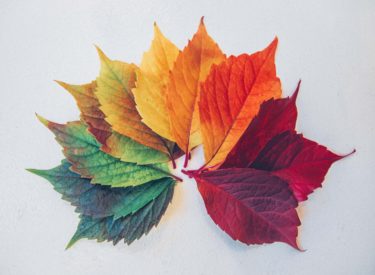 Chris lawton c0r Ih0n FTFU unsplash